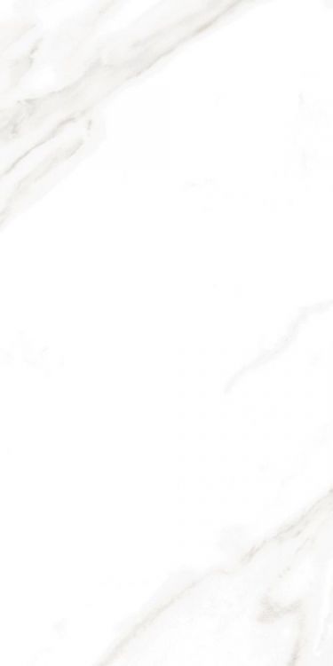 EC Calacatta Gold Polished 2nd Choice (Bowed but within Industry Standard) 12 x 24